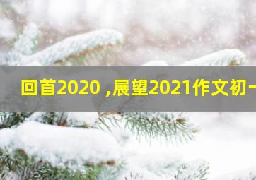 回首2020 ,展望2021作文初一